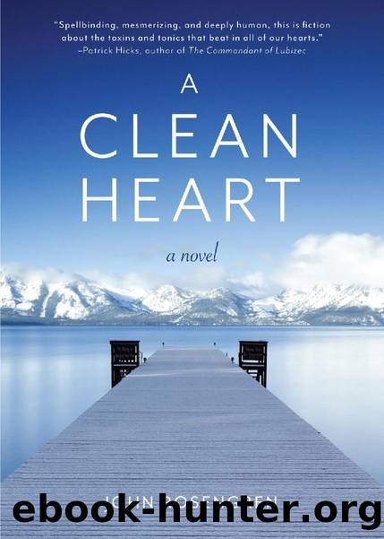 A Clean Heart by John Rosengren
