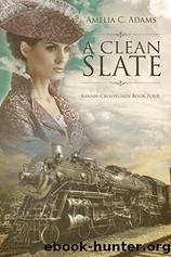 A Clean Slate by Amelia C. Adams