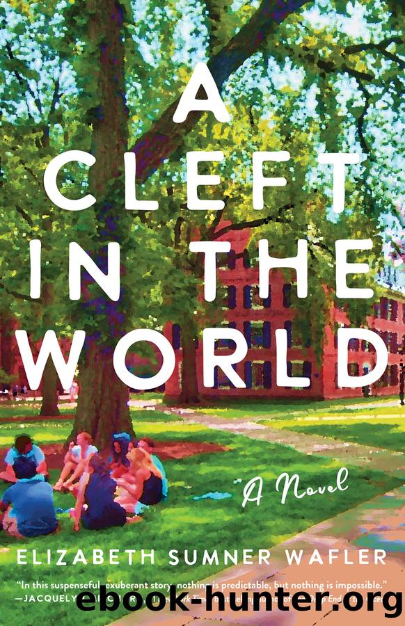 A Cleft in the World by Elizabeth Sumner Wafler