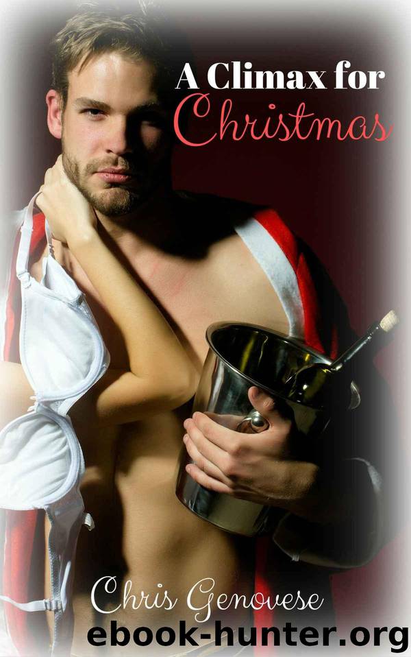 A Climax for Christmas (A Holiday Romance Novella) by Genovese Chris