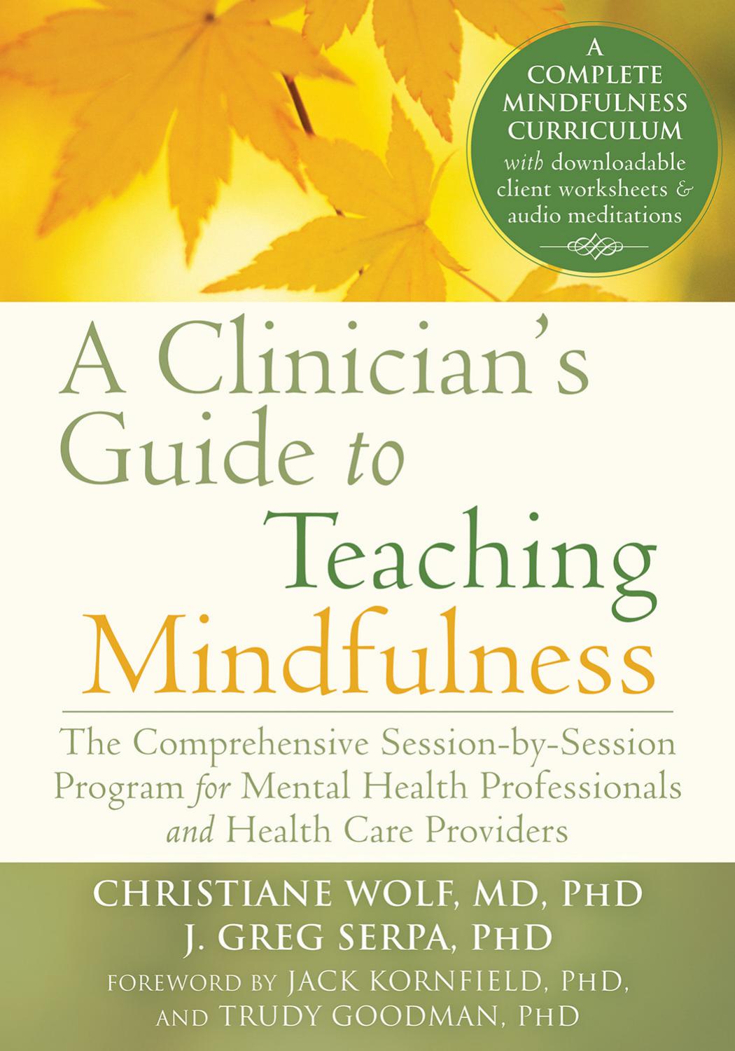 A Clinician's Guide to Teaching Mindfulness: The Comprehensive Session-by-Session Program for Mental Health Professionals and Health Care Providers by Christiane Wolf MD PhD