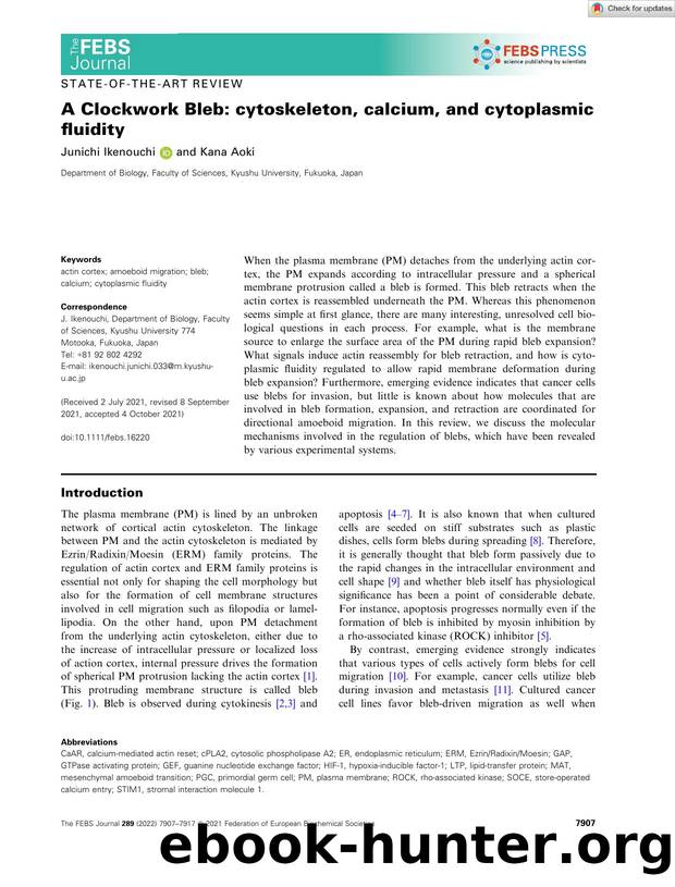 A Clockwork Bleb: cytoskeleton, calcium, and cytoplasmic fluidity by Unknown