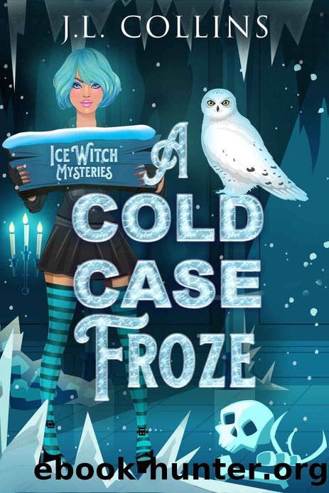 A Cold Case Froze by J. L. Collins