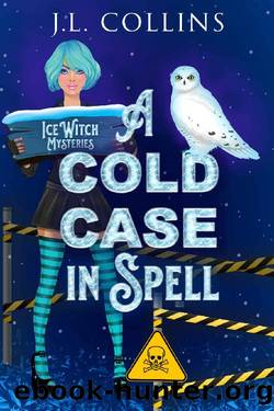 A Cold Case in Spell by J L Collins