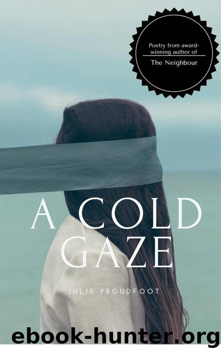 A Cold Gaze by Julie Proudfoot