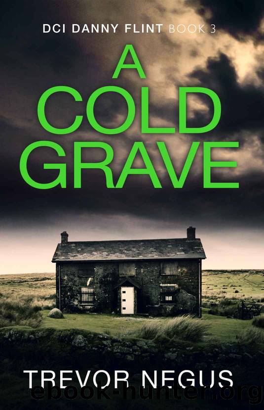 A Cold Grave: A DCI Danny Flint Book by Negus Trevor