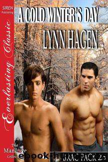 A Cold Winter's Day 25 by Lynn Hagen