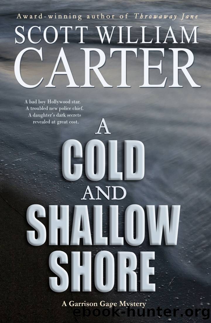 A Cold and Shallow Shore by Scott William Carter
