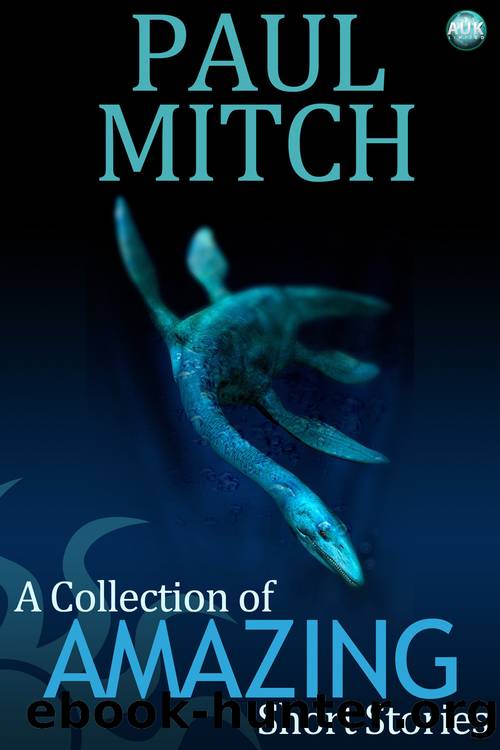 A Collection Of Amazing Short Stories by Paul Mitch