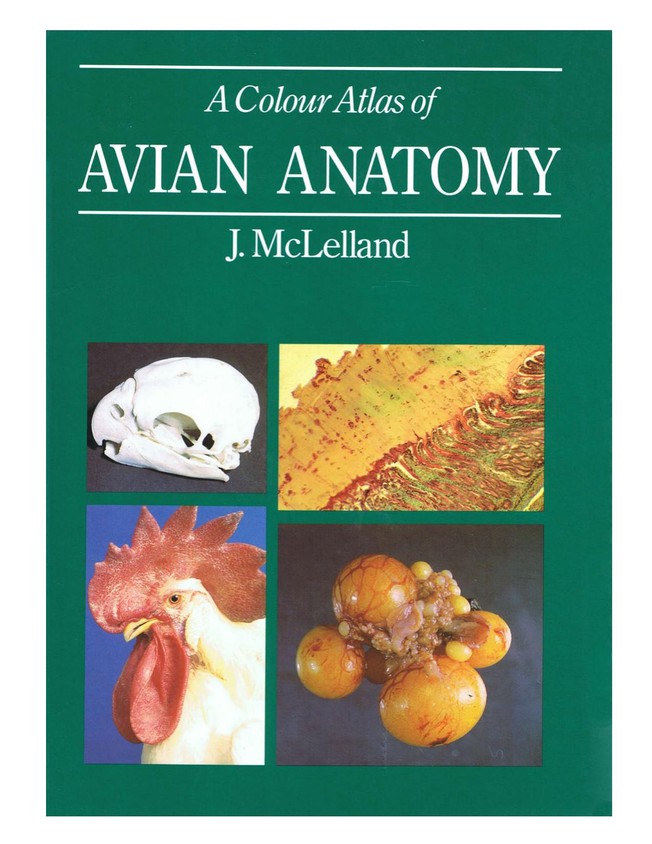 A Colour Atlas of Avian Anatomy by J. McLelland