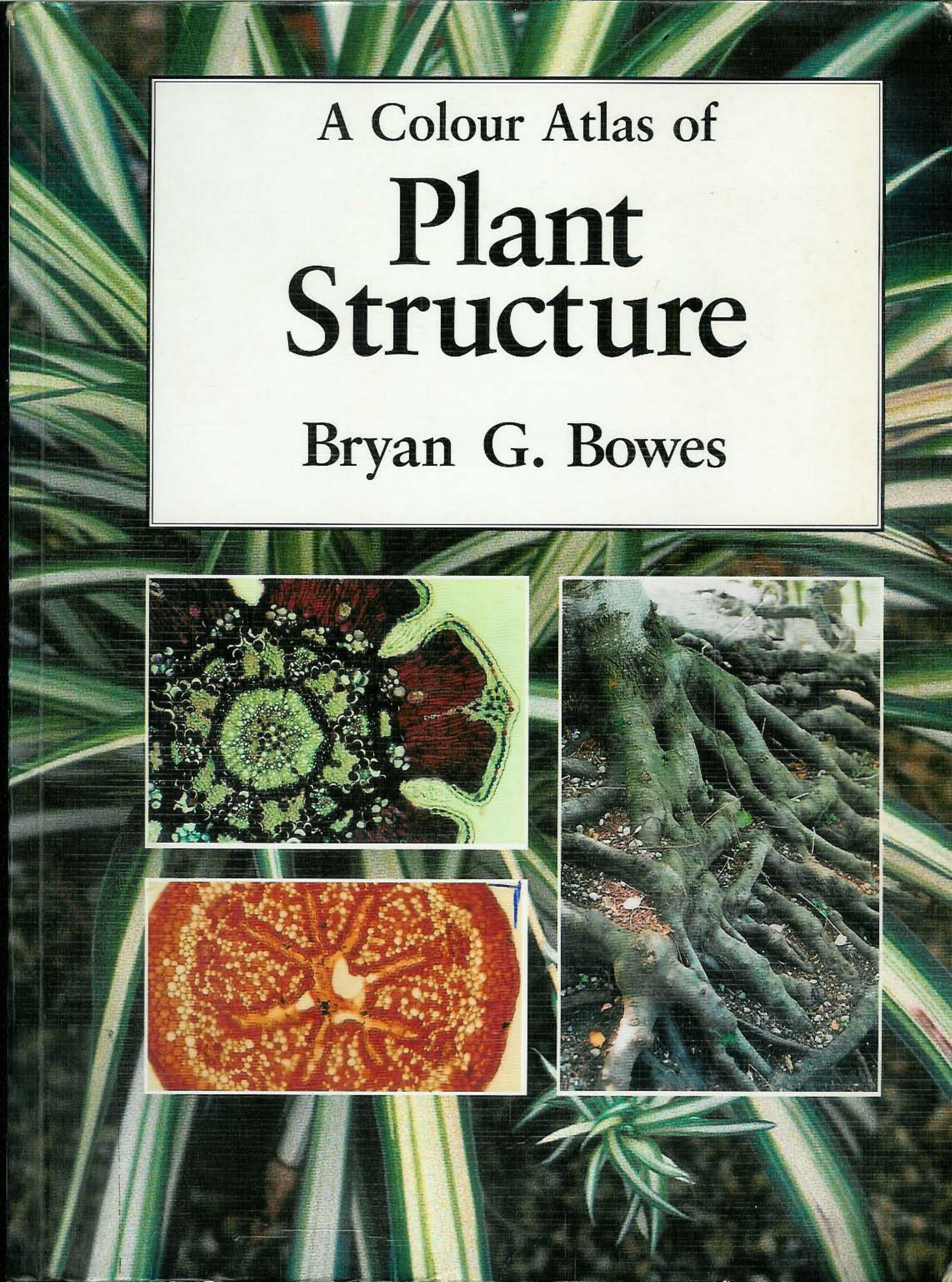 A Colour Atlas of Plant Structure, p.190 by Unknown