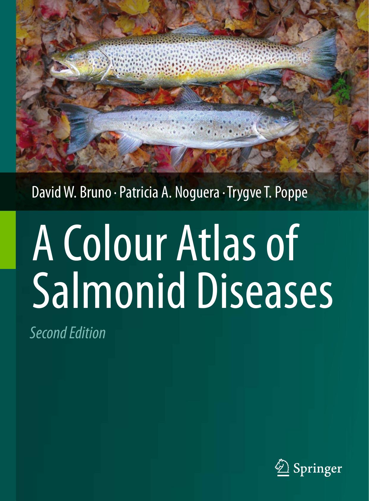 A Colour Atlas of Salmonid Diseases by David W. Bruno Patricia A. Noguera Trygve T. Poppe (auth.)