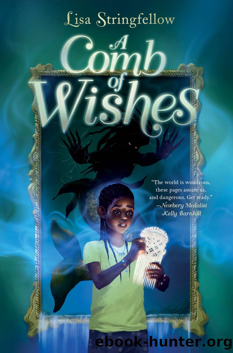 A Comb of Wishes by Lisa Stringfellow