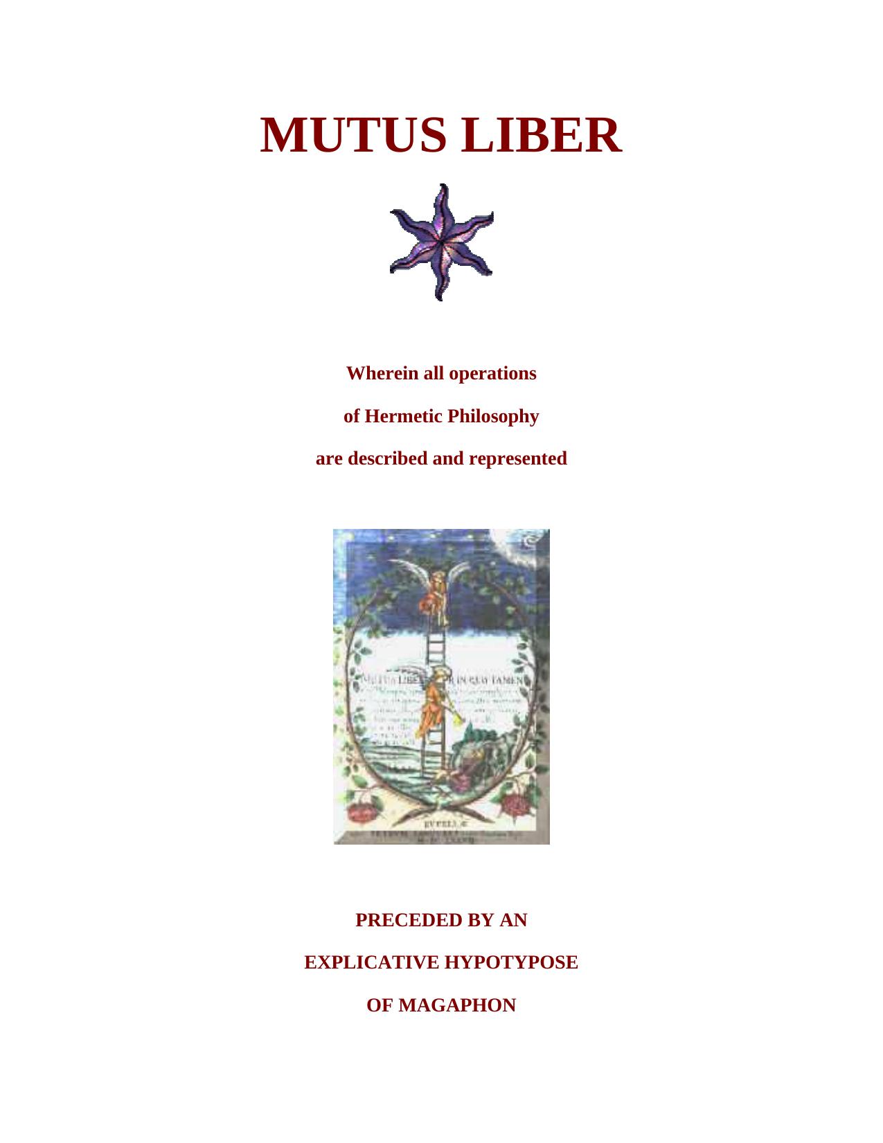 A Commentary on the Mutus Liber (Hermetic Research Series) by Adam McLean