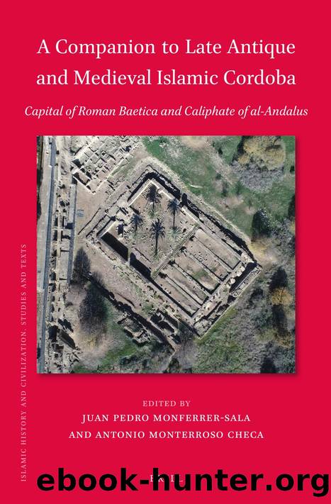 A Companion to Late Antique and Medieval Islamic Cordoba: Capital of Roman Baetica and Caliphate of Al-andalus (Islamic History and Civilization, 195) by Antonio Monterroso Checa (editor) Juan Pedro Monferrer-sala (editor)