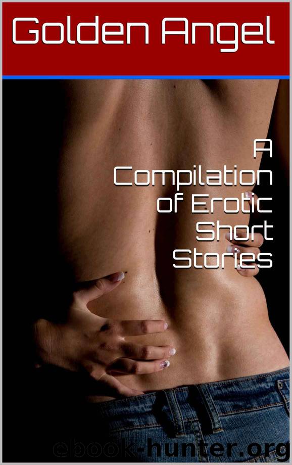 A Compilation of Erotic Short Stories by Golden Angel