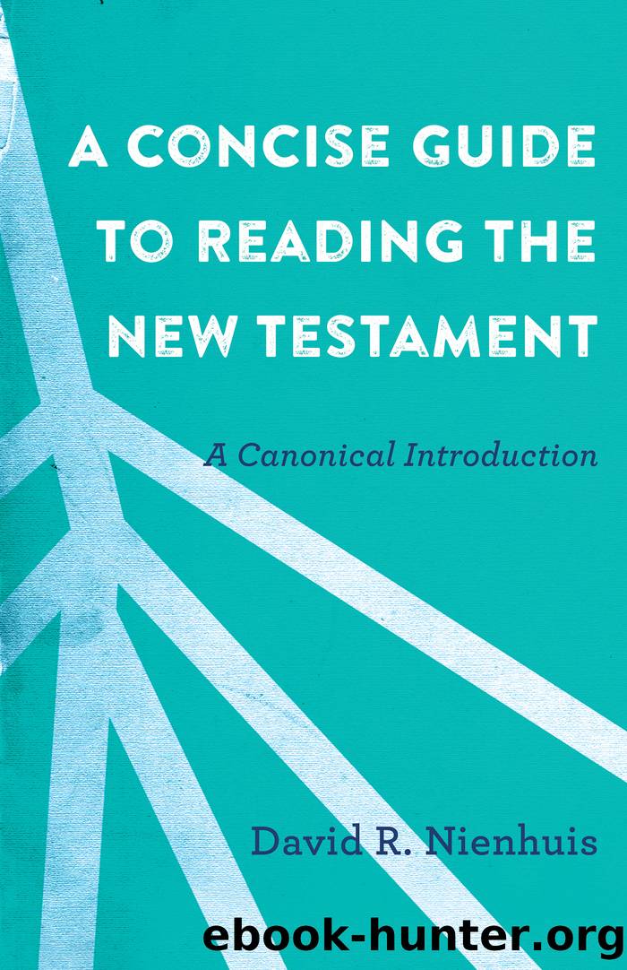 A Concise Guide to Reading the New Testament by David R. Nienhuis