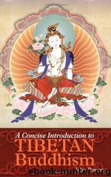 A Concise Introduction to Tibetan Buddhism by John Powers