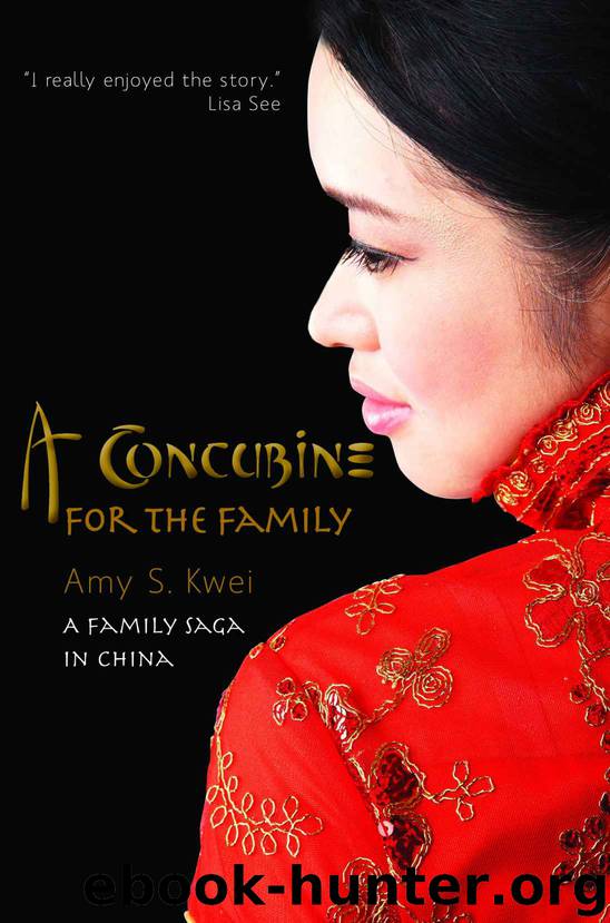 A Concubine for the Family: A Family Saga in China by Amy Kwei