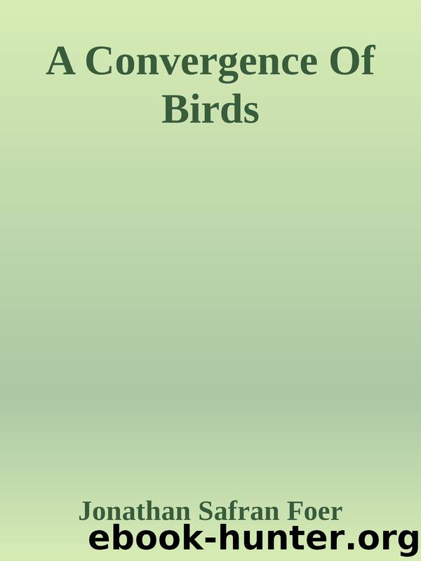A Convergence Of Birds by Jonathan Safran Foer