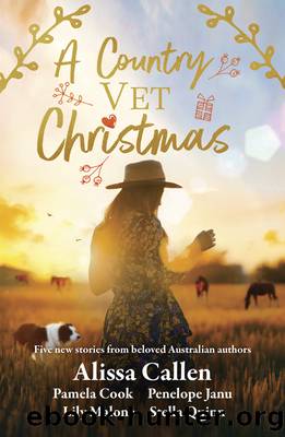 A Country Vet Christmas by Lily Malone
