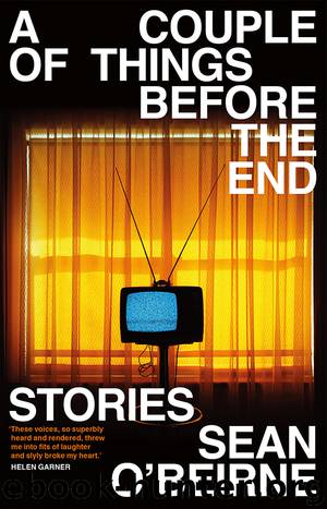 A Couple of Things Before the End by Sean O'Beirne