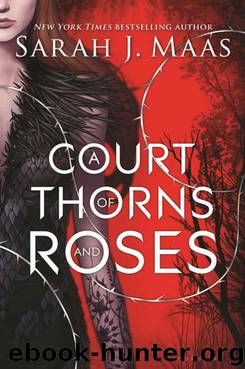 A Court of Thorns and Roses by Maas Sarah J