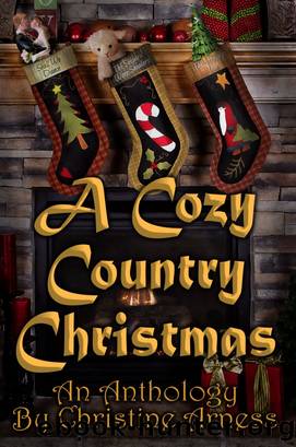 A Cozy Country Christmas Anthology by LLC Melange Books