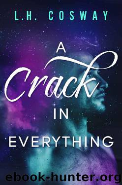 A Crack in Everything (Cracks Book 1) by L.H. Cosway