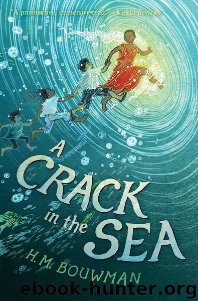 A Crack in the Sea by H. M. Bouwman