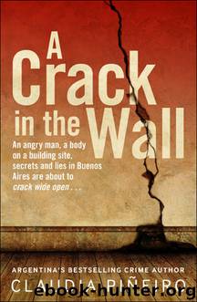 A Crack in the Wall by Claudia Piñeiro