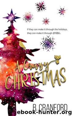 A Crazy Christmas by B. Cranford