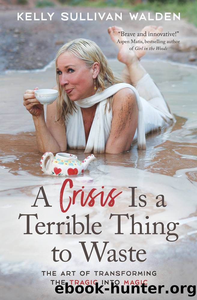 A Crisis Is a Terrible Thing to Waste by Kelly Sullivan Walden