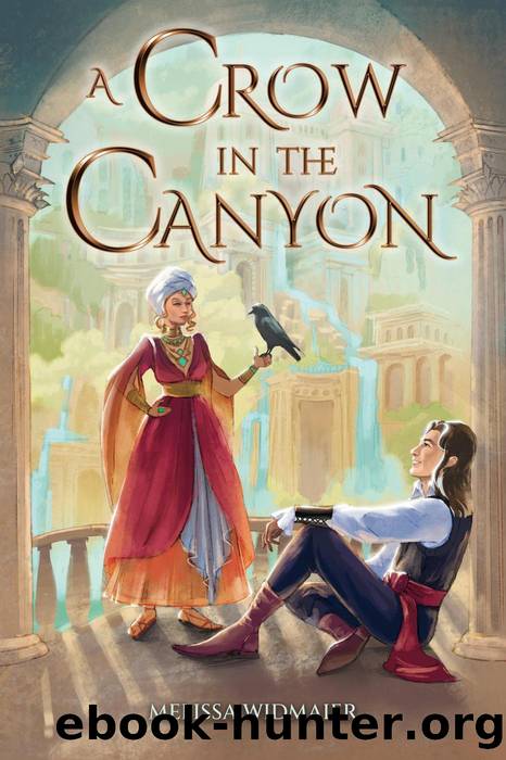 A Crow in the Canyon by Melissa Widmaier