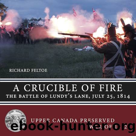 A Crucible of Fire by Richard Feltoe