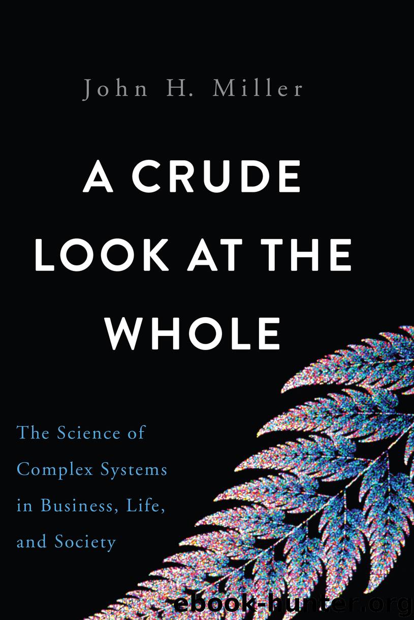 A Crude Look at the Whole by John H. Miller