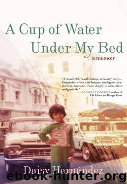 A Cup of Water Under My Bed by Daisy Hernandez