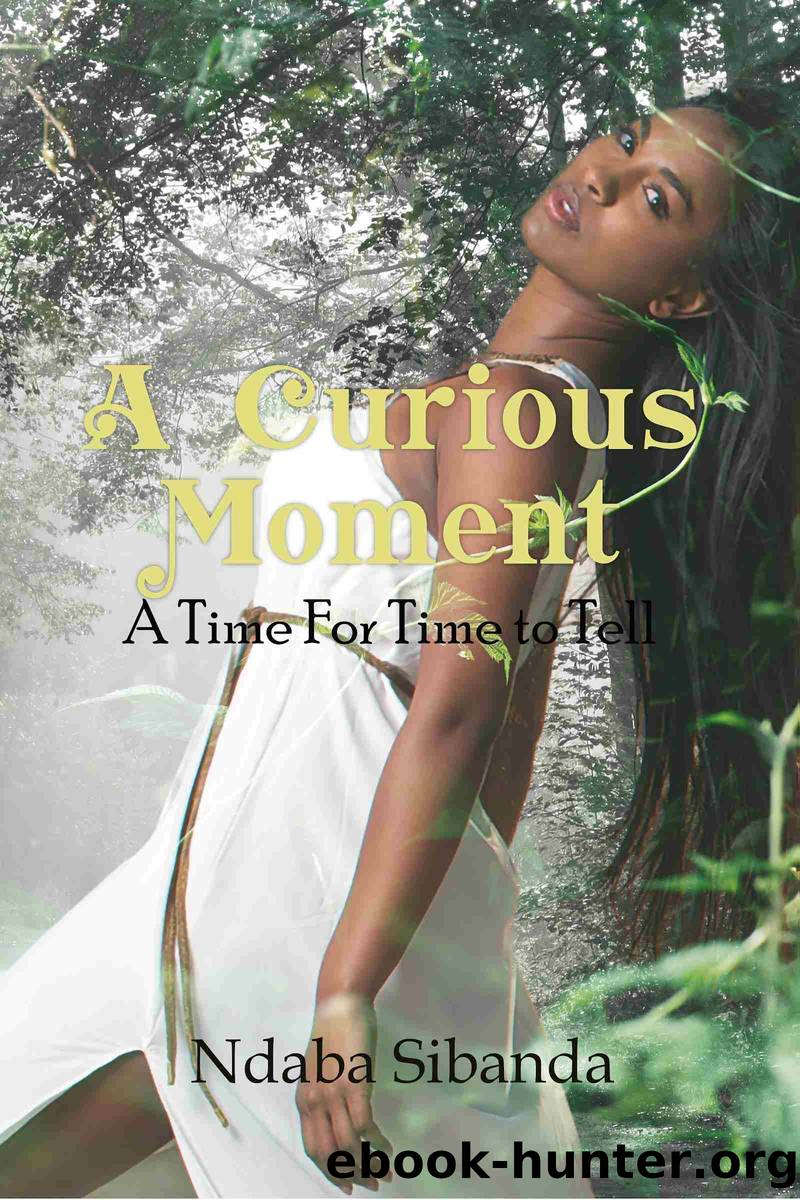 A Curious Moment by Ndaba Sibanda