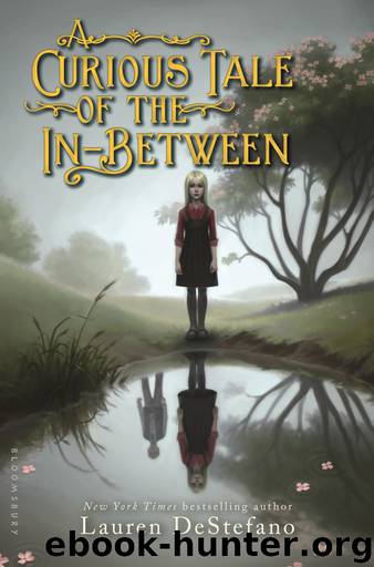 A Curious Tale of the In-Between by Lauren DeStefano