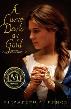 A Curse Dark as Gold by Elizabeth Bunce