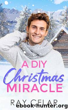 A DIY Christmas Miracle by Ray Celar