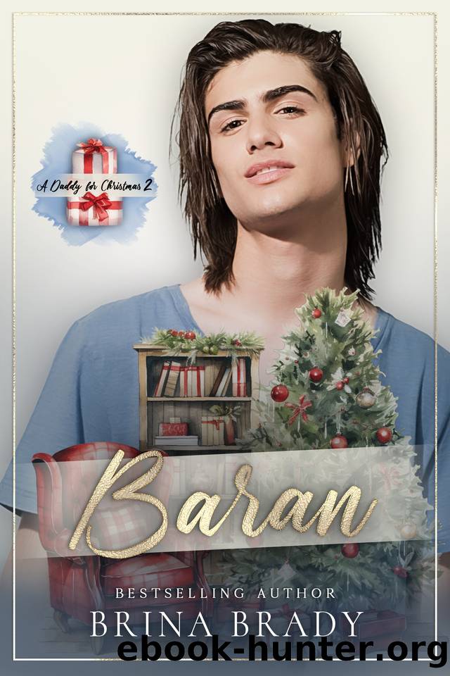 A Daddy for Christmas 2: Baran by Brina Brady