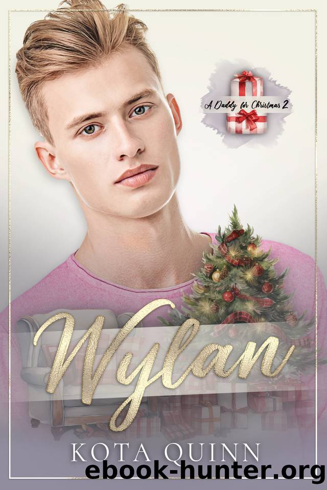 A Daddy for Christmas 2: Wylan by Kota Quinn