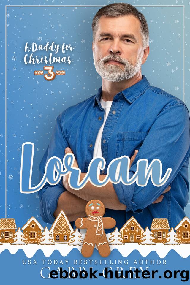 A Daddy for Christmas 3: Lorcan by Gabbi Grey