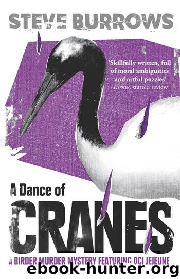 A Dance of Cranes by Steve Burrows
