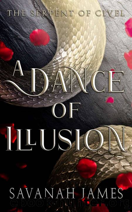 A Dance of Illusion by Savanah James