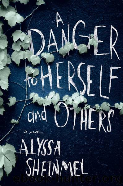 A Danger to Herself and Others by Alyssa Sheinmel