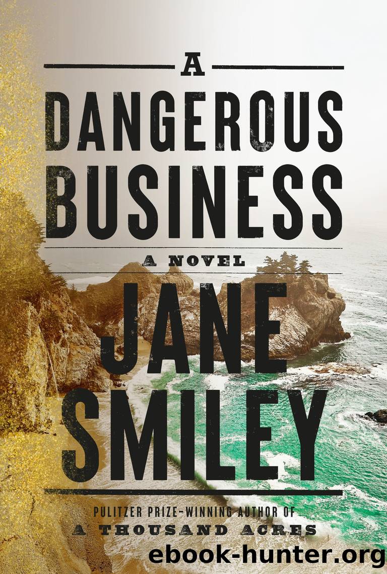 A Dangerous Business by Jane Smiley