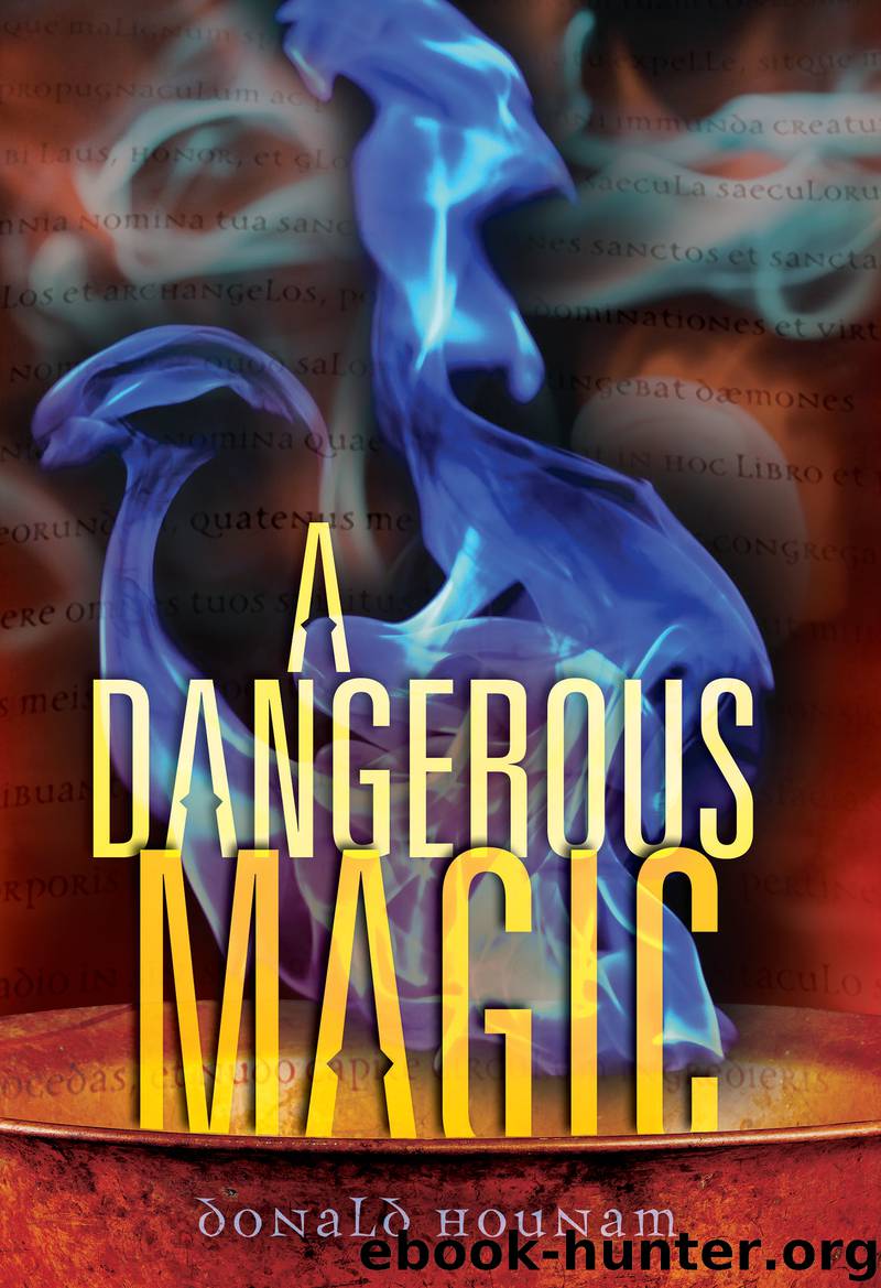 A Dangerous Magic by Donald Hounam