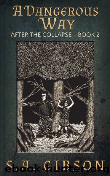 A Dangerous Way by S. A. Gibson